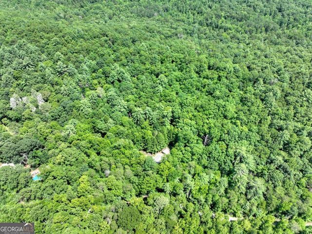 1048 Laurel Trail, Ellijay, GA 30536