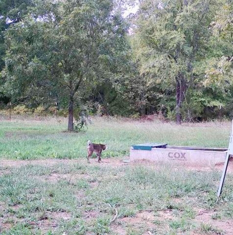 9439 County Road 103, Whitesboro, TX 76273
