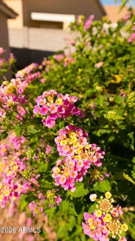 1530 E Charleston Avenue, Phoenix, AZ 85022