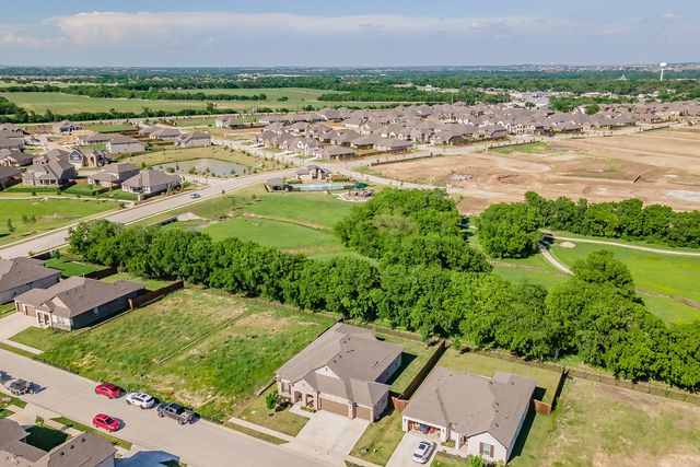 1041 Auburn Drive, Justin, TX 76247