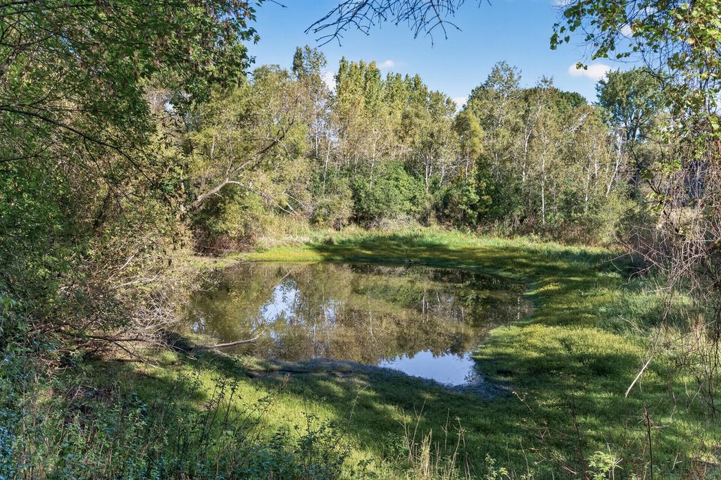 6612 Sherman Lake Road, Lino Lakes, MN 55038 — photo 5
