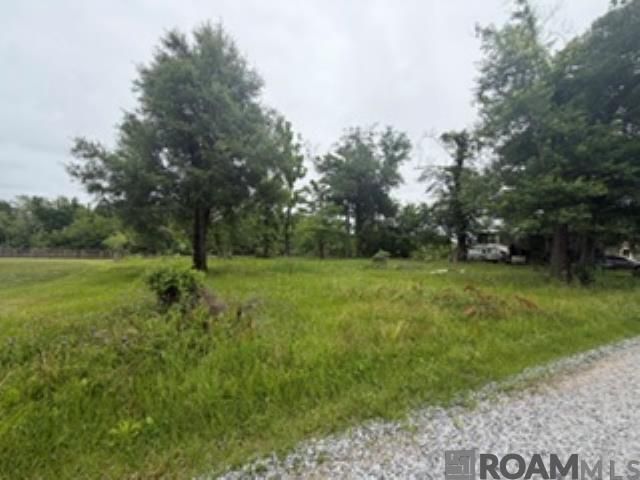 19151 River Bend Rd, Maurepas, LA 70449