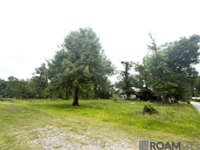19151 River Bend Rd, Maurepas, LA 70449
