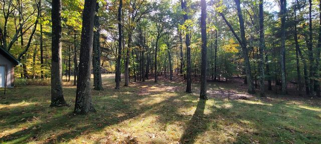 5921 W Longbridge Road, Pentwater, MI 49449