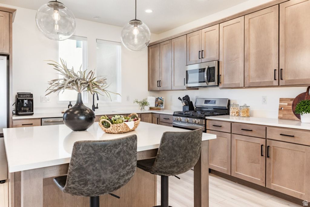 11082 S LAKE RUN RD, South Jordan, UT 84009