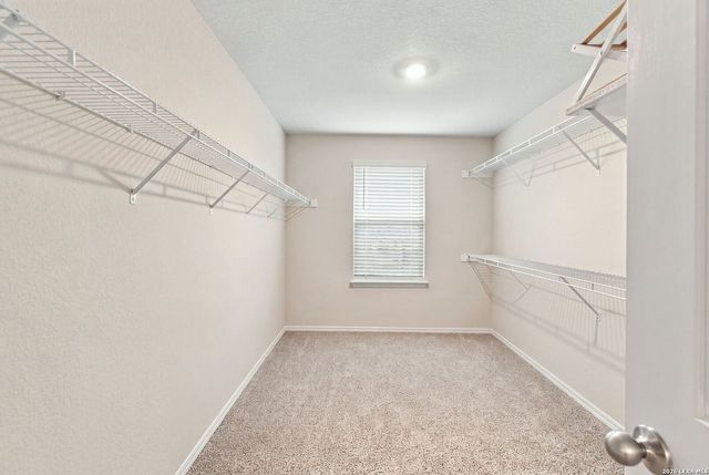 10503 Pinova, San Antonio, TX 78252