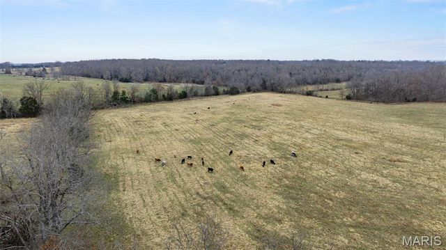 20560 Normandy Drive, Lebanon, MO 65536