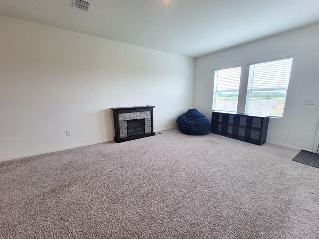500 Magnum Force DR, Jarrell, TX 76537