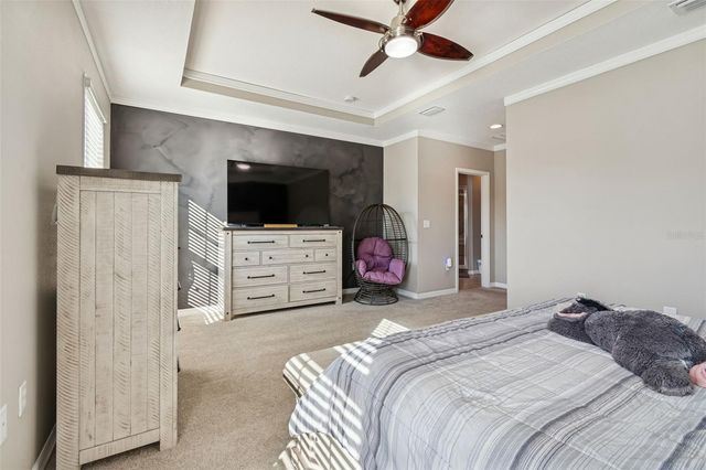 13211 CANOPY CREEK DRIVE, Tampa, FL 33625