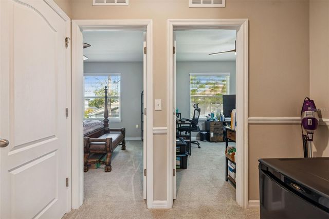 13211 CANOPY CREEK DRIVE, Tampa, FL 33625