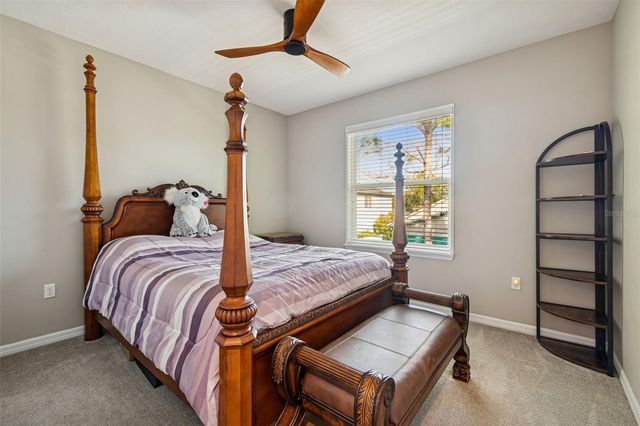 13211 CANOPY CREEK DRIVE, Tampa, FL 33625