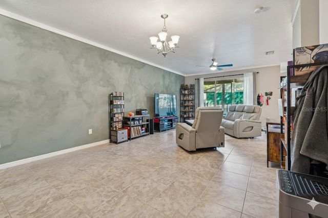 13211 CANOPY CREEK DRIVE, Tampa, FL 33625