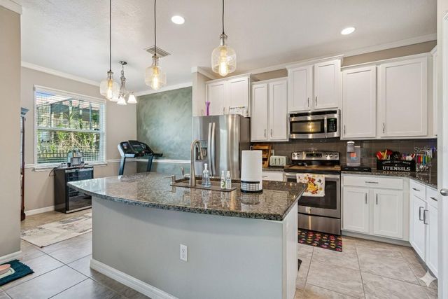 13211 CANOPY CREEK DRIVE, Tampa, FL 33625