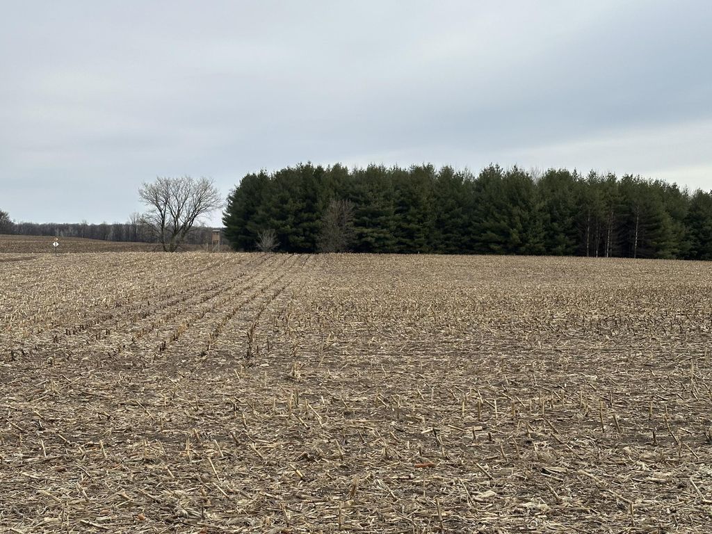 TBD 60th Ave, Princeton, MN 55371