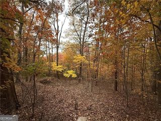 1344 Hunter Drive, Ranger, GA 30734