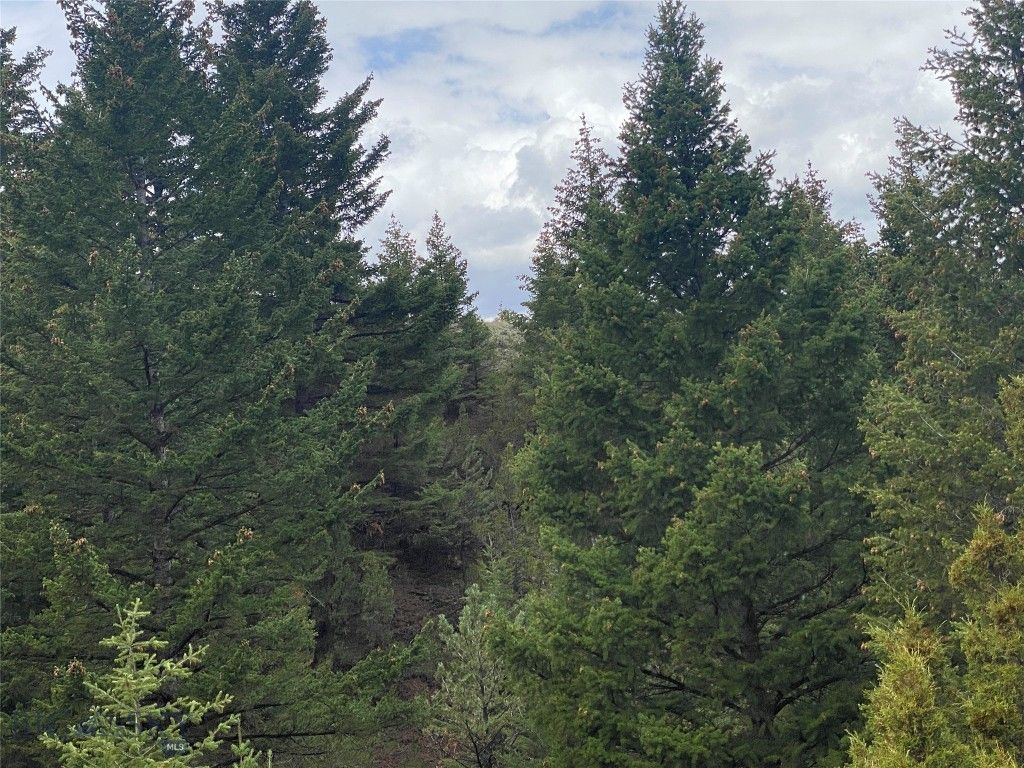 TBD Lone Wolf Trail, Clarkston, MT 59752 photo 13