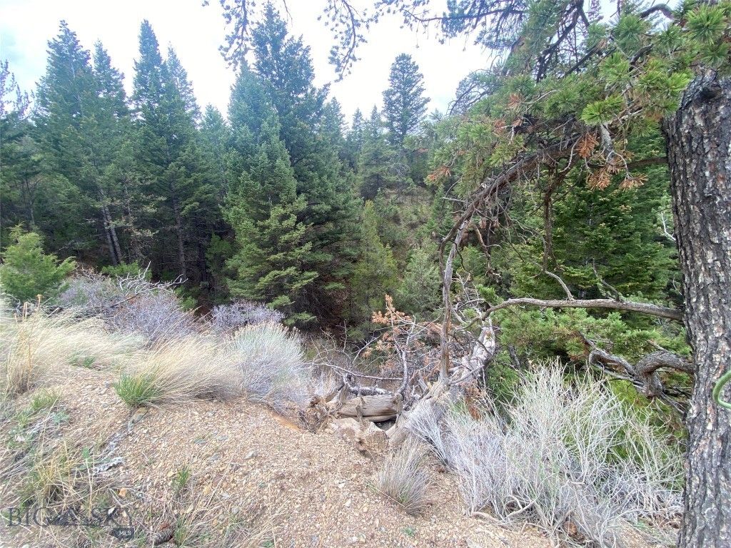 TBD Lone Wolf Trail, Clarkston, MT 59752 photo 14