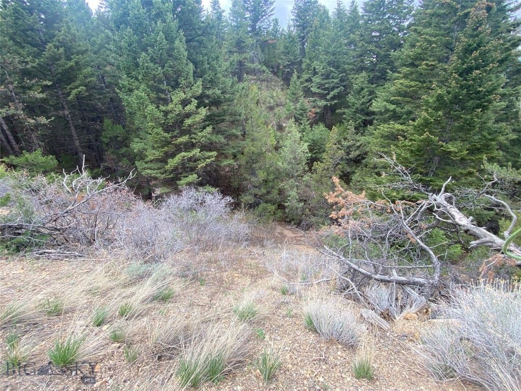TBD Lone Wolf Trail, Clarkston, MT 59752 photo 15