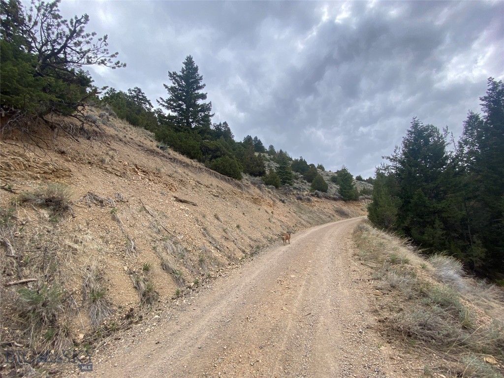 TBD Lone Wolf Trail, Clarkston, MT 59752 photo 17