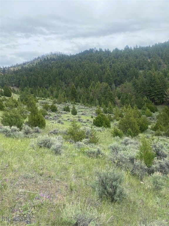TBD Lone Wolf Trail, Clarkston, MT 59752 photo 4