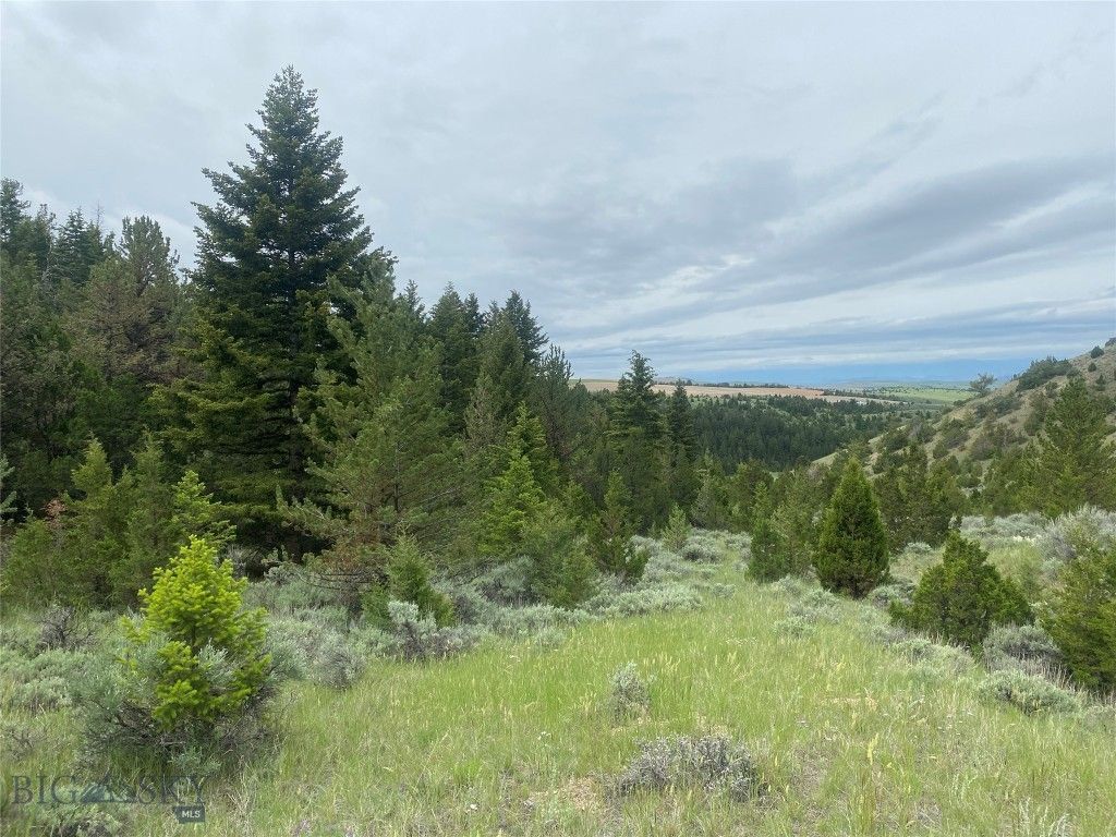 TBD Lone Wolf Trail, Clarkston, MT 59752 photo 5