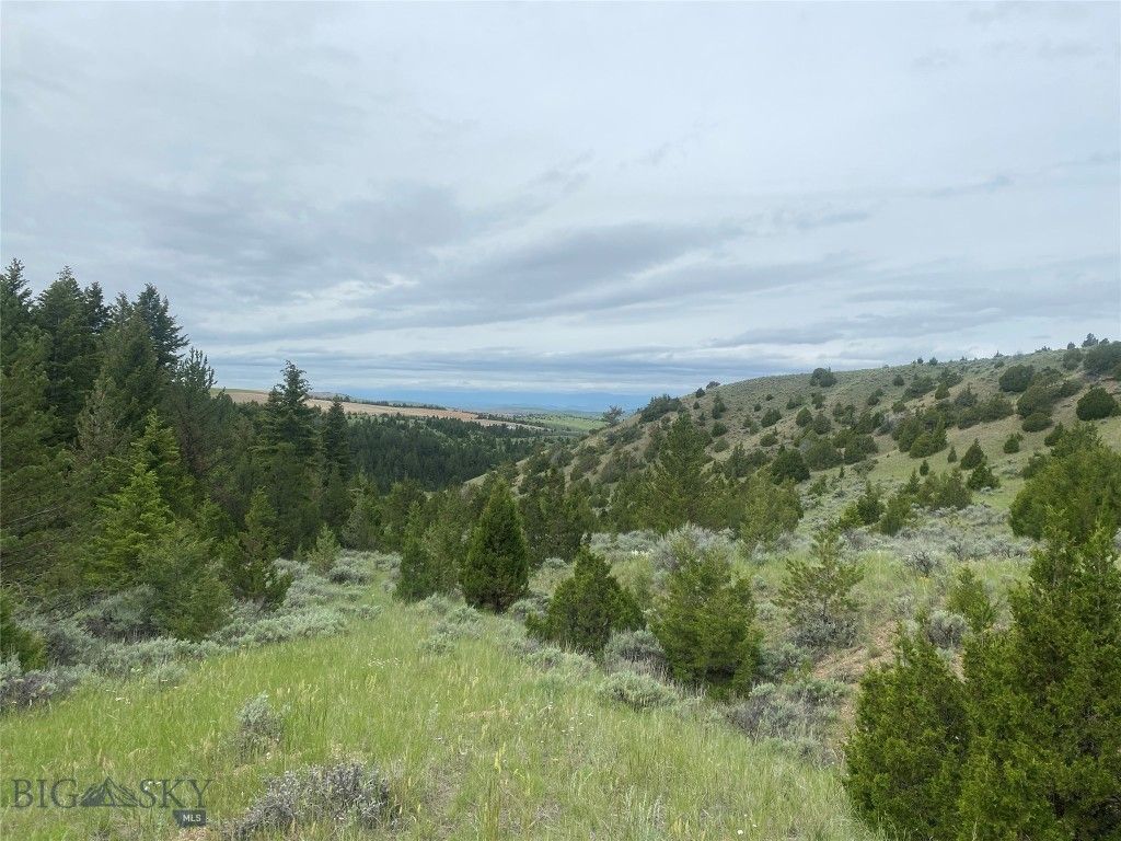 TBD Lone Wolf Trail, Clarkston, MT 59752 photo 6