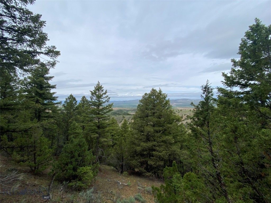 TBD Lone Wolf Trail, Clarkston, MT 59752 photo 7