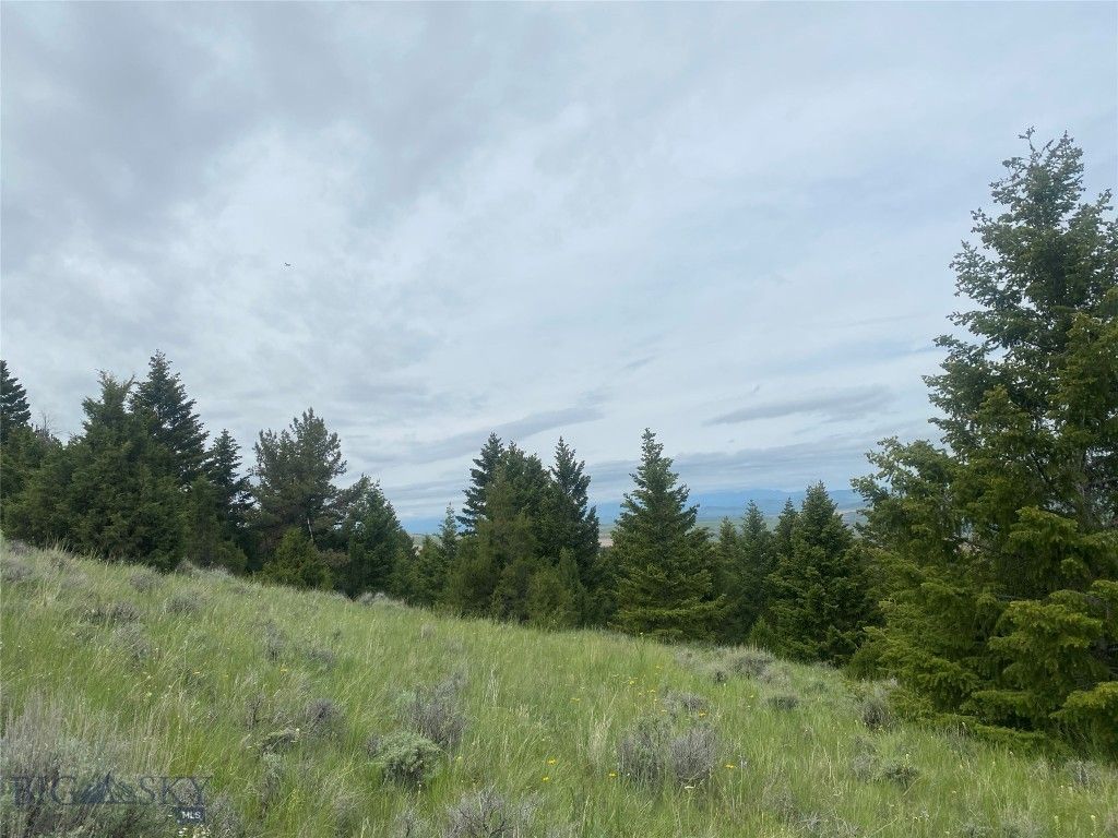 TBD Lone Wolf Trail, Clarkston, MT 59752 photo 8