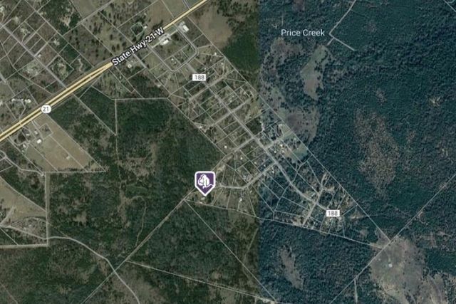 151 Palamino CT, Paige, TX 78659