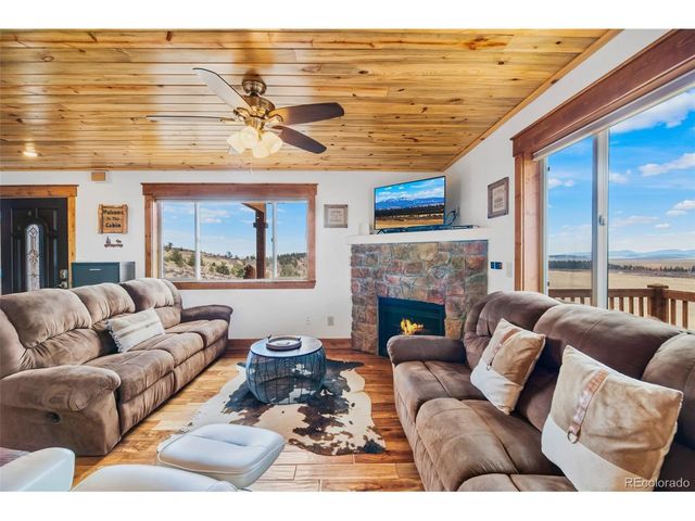 273 Bonell Dr, Fairplay, CO 80440