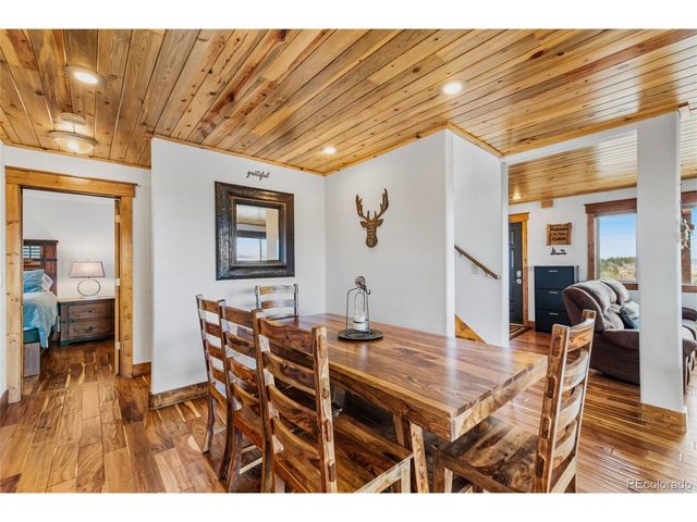 273 Bonell Dr, Fairplay, CO 80440