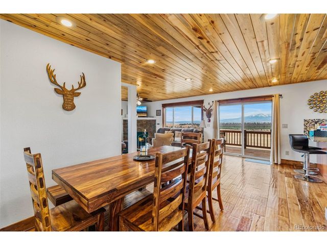 273 Bonell Dr, Fairplay, CO 80440