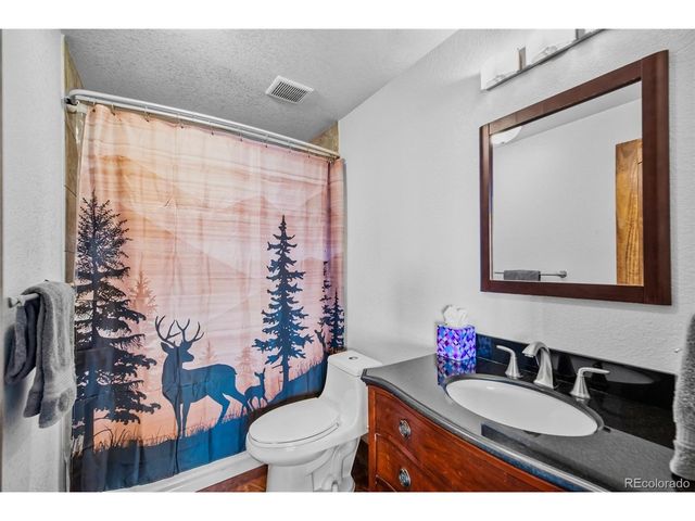273 Bonell Dr, Fairplay, CO 80440