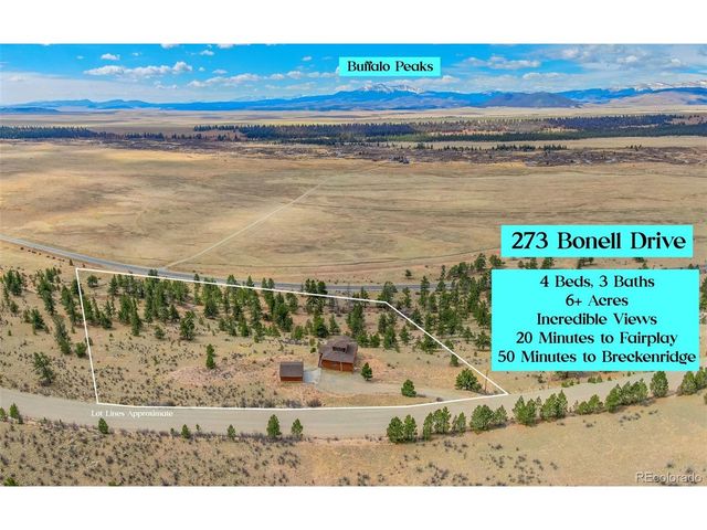 273 Bonell Dr, Fairplay, CO 80440