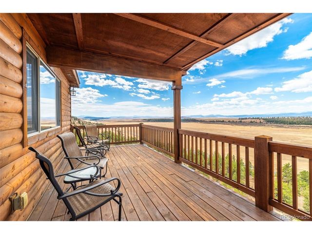 273 Bonell Dr, Fairplay, CO 80440