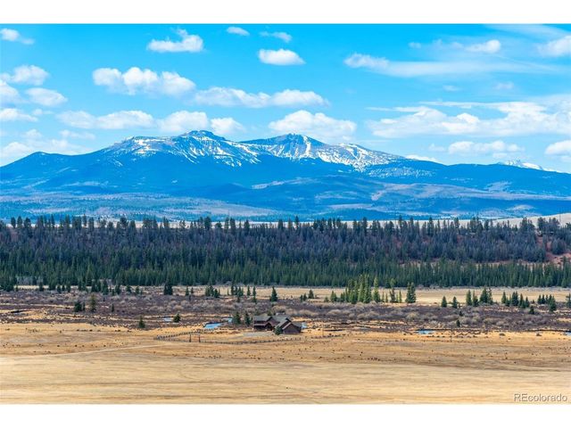 273 Bonell Dr, Fairplay, CO 80440