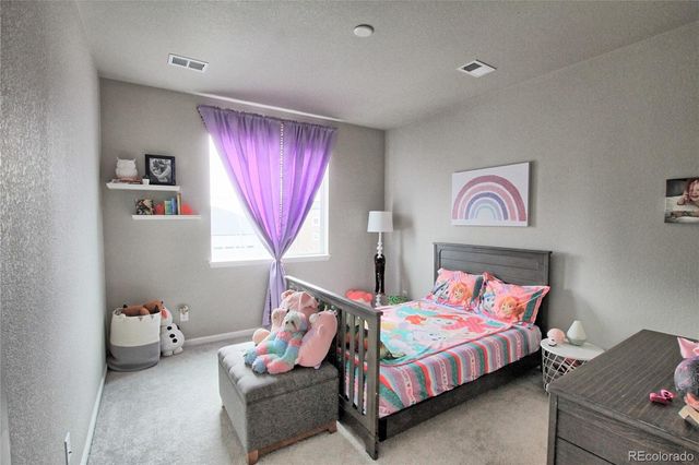 8961 Birch Run Drive, Parker, CO 80134