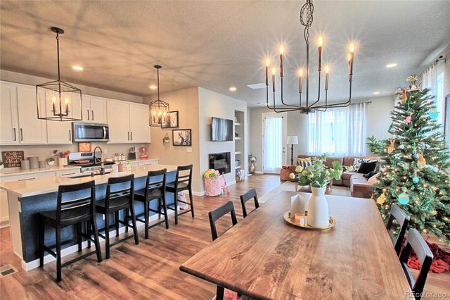 8961 Birch Run Drive, Parker, CO 80134