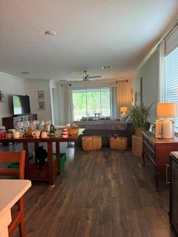 17222 MANGO SHAY COURT, Land O Lakes, FL 34638