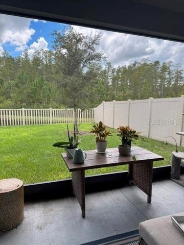 17222 MANGO SHAY COURT, Land O Lakes, FL 34638