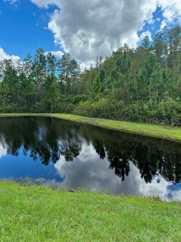 17222 MANGO SHAY COURT, Land O Lakes, FL 34638