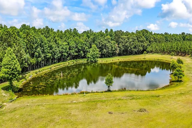 59 Two Ponds Road, Georgetown, SC 29440