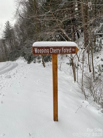 14 Weeping Cherry Forest Road, Fairview, NC 28730
