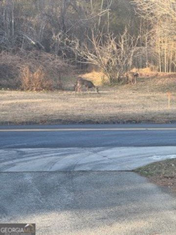 224 SW Dollar Mill Road SW, Atlanta, GA 30331