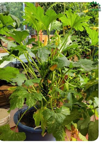 578 FARMERS LOOP ROAD, Fairbanks, AK 99712