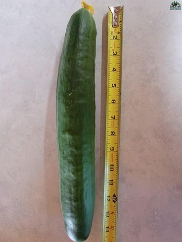 578 FARMERS LOOP ROAD, Fairbanks, AK 99712