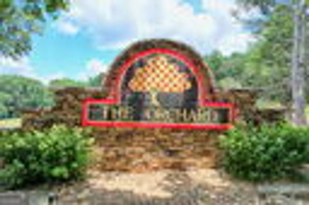 0 Orchard Drive, Clarkesville, GA 30523 — exterior