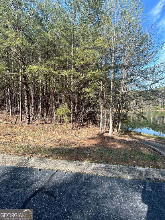 0 Orchard Drive, Clarkesville, GA 30523 — photo 3