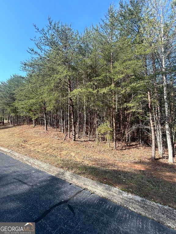 0 Orchard Drive, Clarkesville, GA 30523 — photo 4