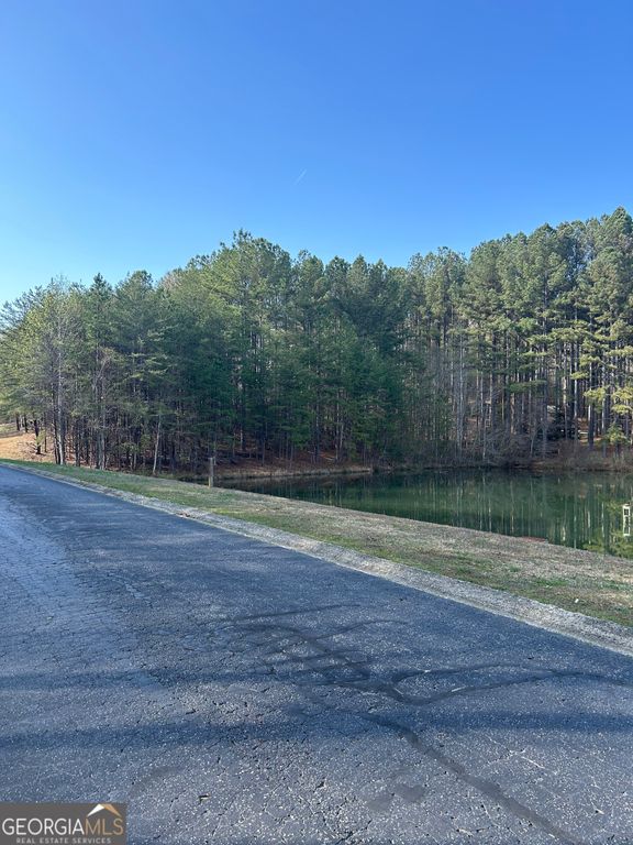 0 Orchard Drive, Clarkesville, GA 30523 — photo 5